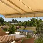 Beautiful Divina With Large Pool, Sauna & Hydrommassage Near Pula, High Level Of Privacy